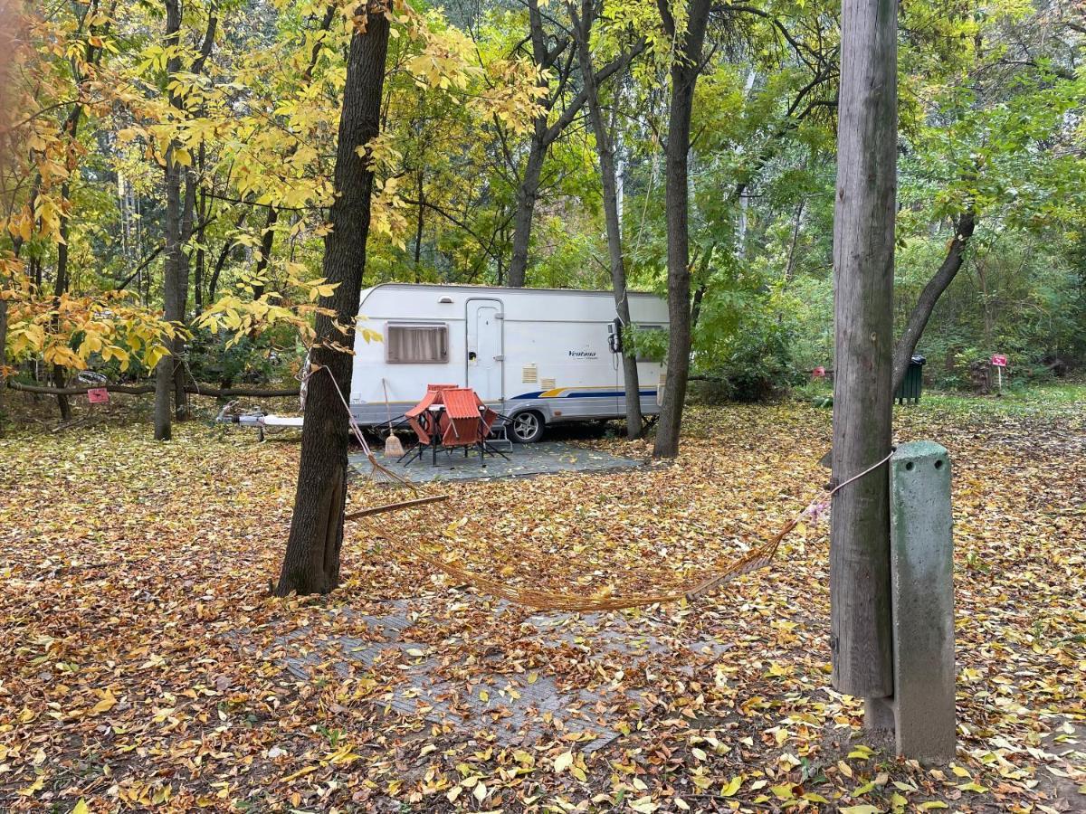 Tisza-beach wild camping 5 Segedyn Zewnętrze zdjęcie