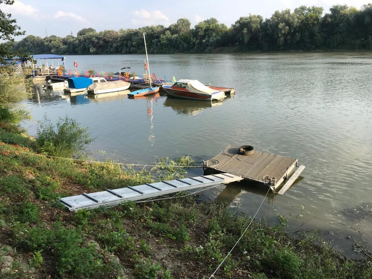 Tisza-beach wild camping 5 Segedyn Zewnętrze zdjęcie